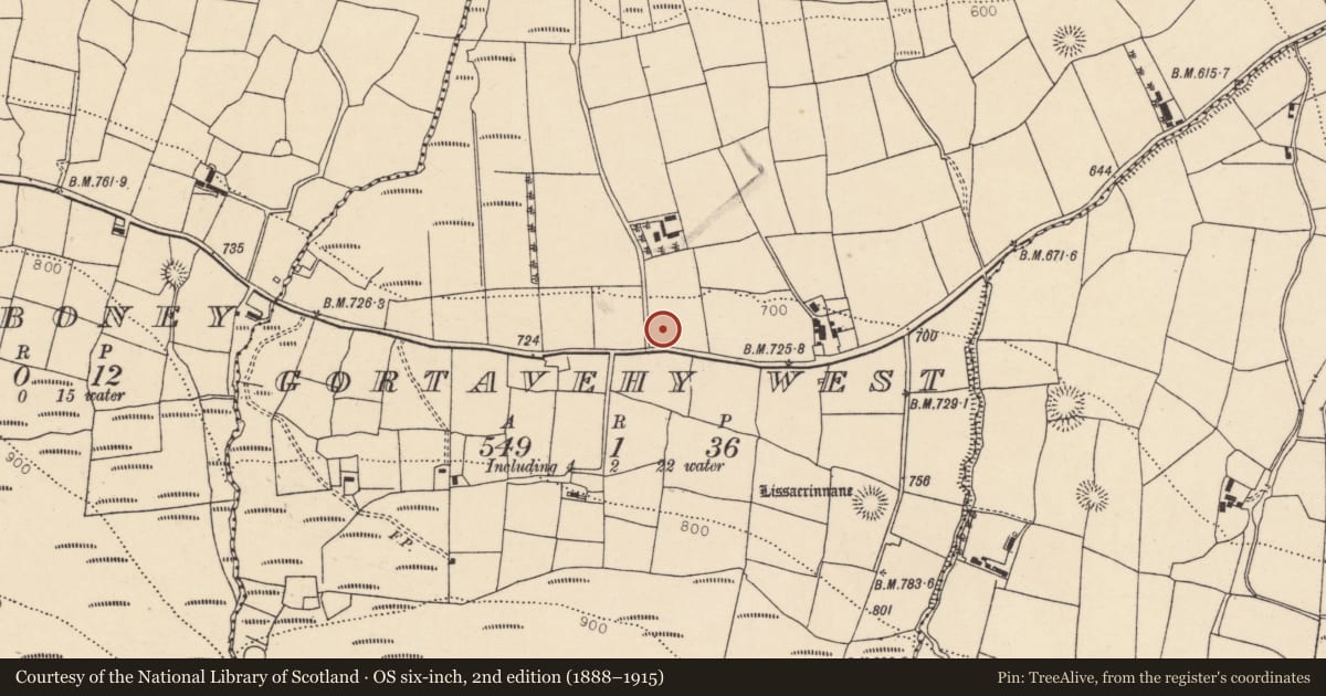 Ordnance Survey six-inch map, 2nd edition (1888–1915) covering the location of Standing stone, Gortavehy West, County Cork, with a pin at the register's coordinates