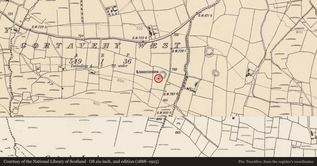 Ordnance Survey six-inch map, 2nd edition (1888–1915) covering the location of Standing stone, Gortavehy West, County Cork, with a pin at the register's coordinates
