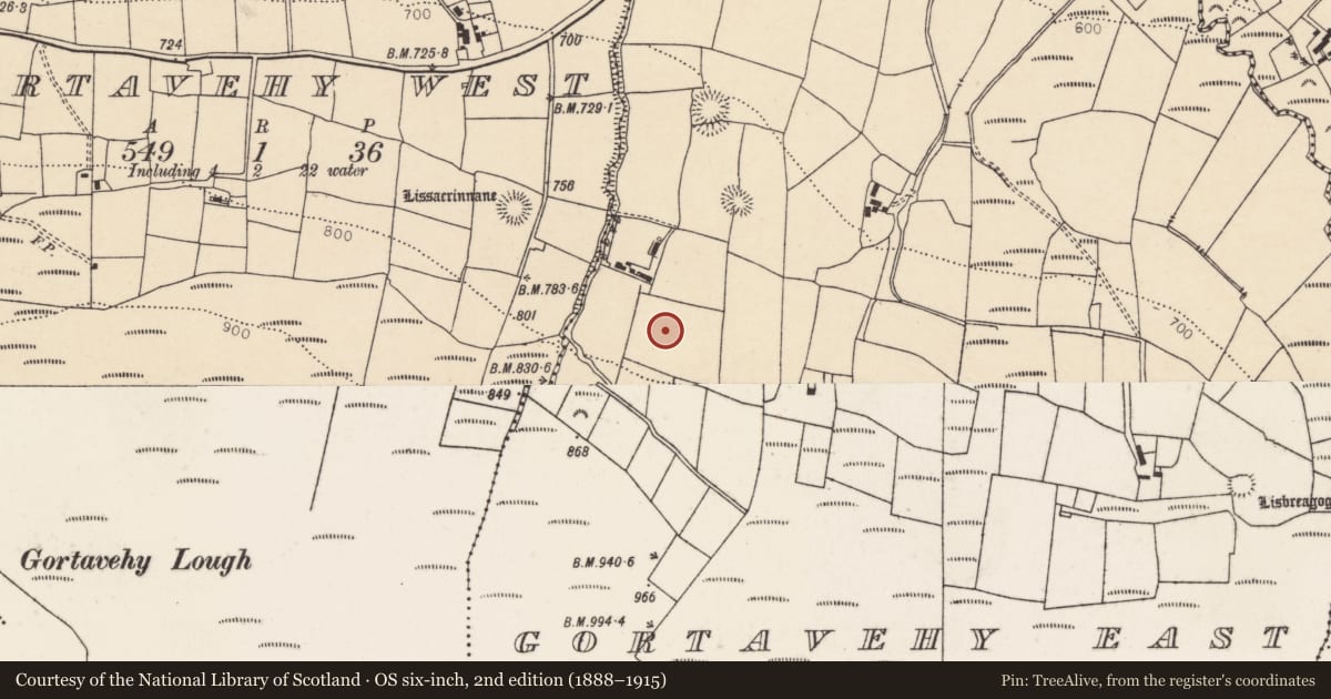 Ordnance Survey six-inch map, 2nd edition (1888–1915) covering the location of Standing stone, Gortavehy East, County Cork, with a pin at the register's coordinates