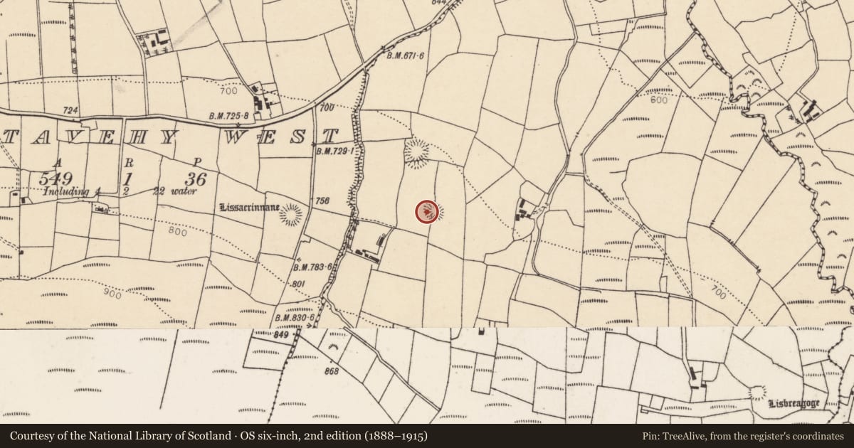 Ordnance Survey six-inch map, 2nd edition (1888–1915) covering the location of Ringfort - rath, Gortavehy East, County Cork, with a pin at the register's coordinates