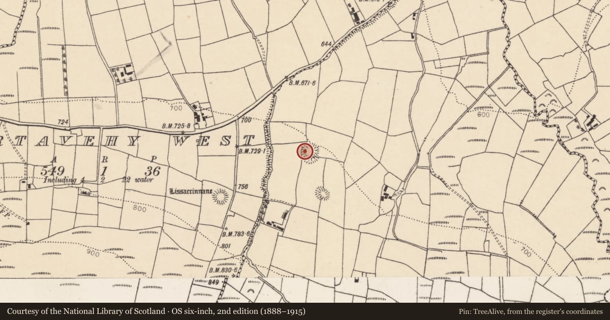Ordnance Survey six-inch map, 2nd edition (1888–1915) covering the location of Souterrain, Gortavehy East, County Cork, with a pin at the register's coordinates