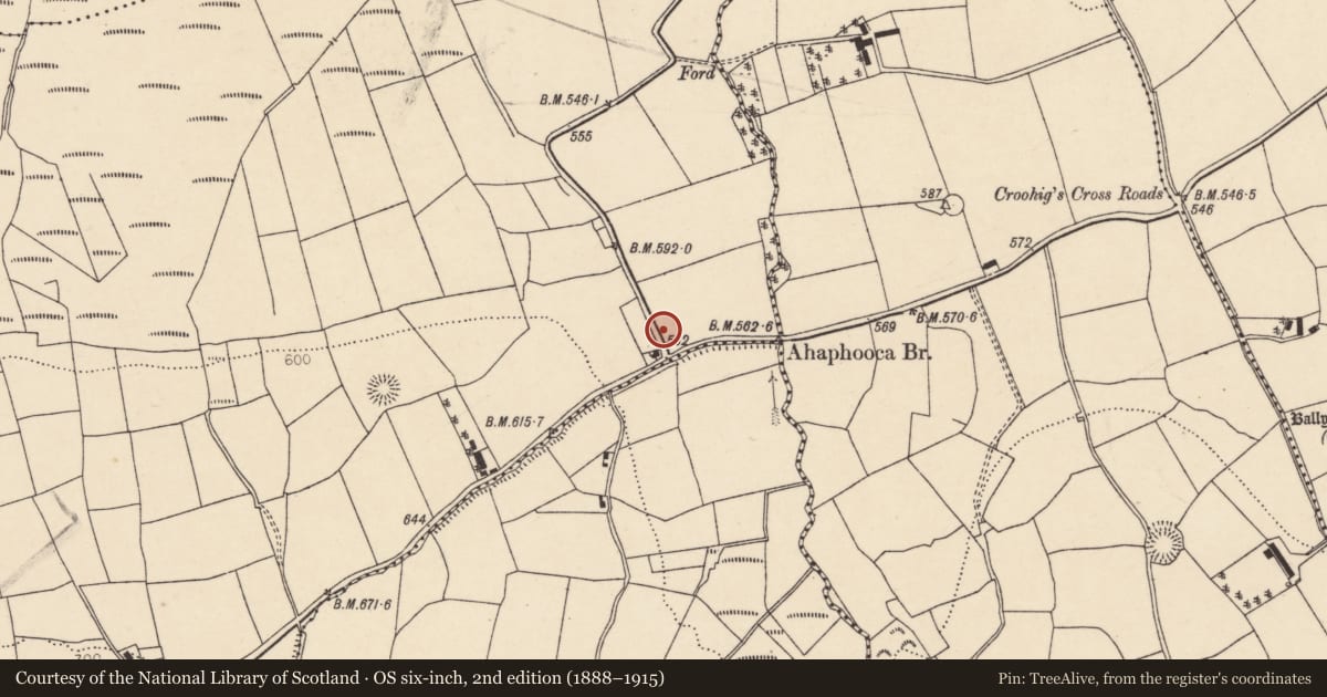 Ordnance Survey six-inch map, 2nd edition (1888–1915) covering the location of Fulacht fia, Gortavehy East, County Cork, with a pin at the register's coordinates