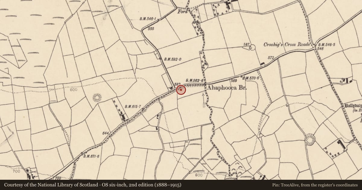 Ordnance Survey six-inch map, 2nd edition (1888–1915) covering the location of Souterrain, Gortavehy East, County Cork, with a pin at the register's coordinates
