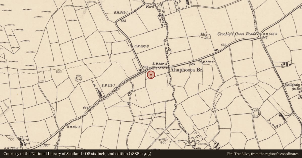 Ordnance Survey six-inch map, 2nd edition (1888–1915) covering the location of Fulacht fia, Gortavehy East, County Cork, with a pin at the register's coordinates