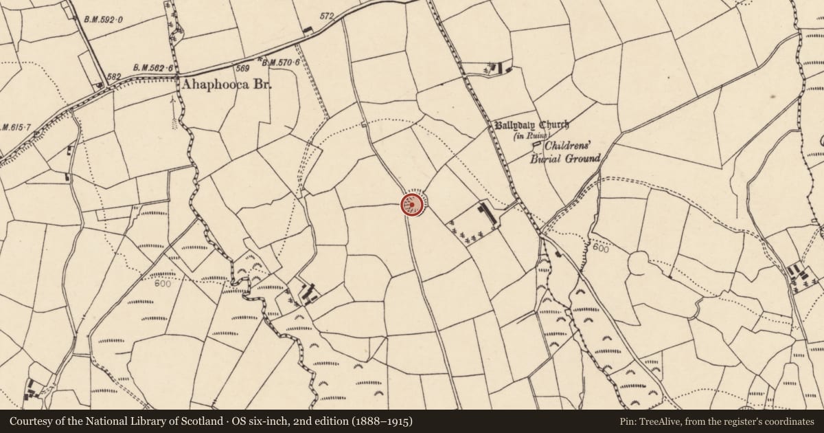 Ordnance Survey six-inch map, 2nd edition (1888–1915) covering the location of Souterrain, Kippagh, County Cork, with a pin at the register's coordinates