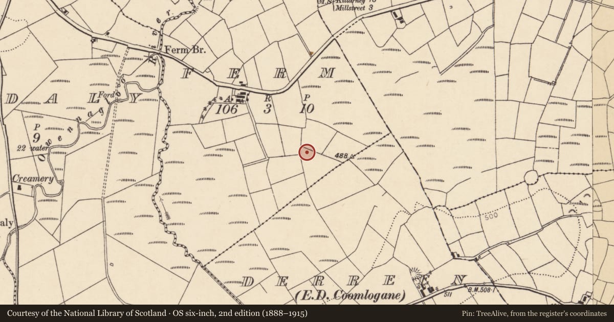 Ordnance Survey six-inch map, 2nd edition (1888–1915) covering the location of Standing stone, Ferm, County Cork, with a pin at the register's coordinates