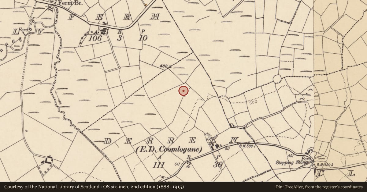 Ordnance Survey six-inch map, 2nd edition (1888–1915) covering the location of Boulder-burial, Derreen (Muskerry West By., Drishane Par.), County Cork, with a pin at the register's coordinates
