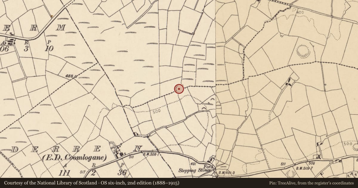 Ordnance Survey six-inch map, 2nd edition (1888–1915) covering the location of Ringfort - rath, Annagloor, County Cork, with a pin at the register's coordinates