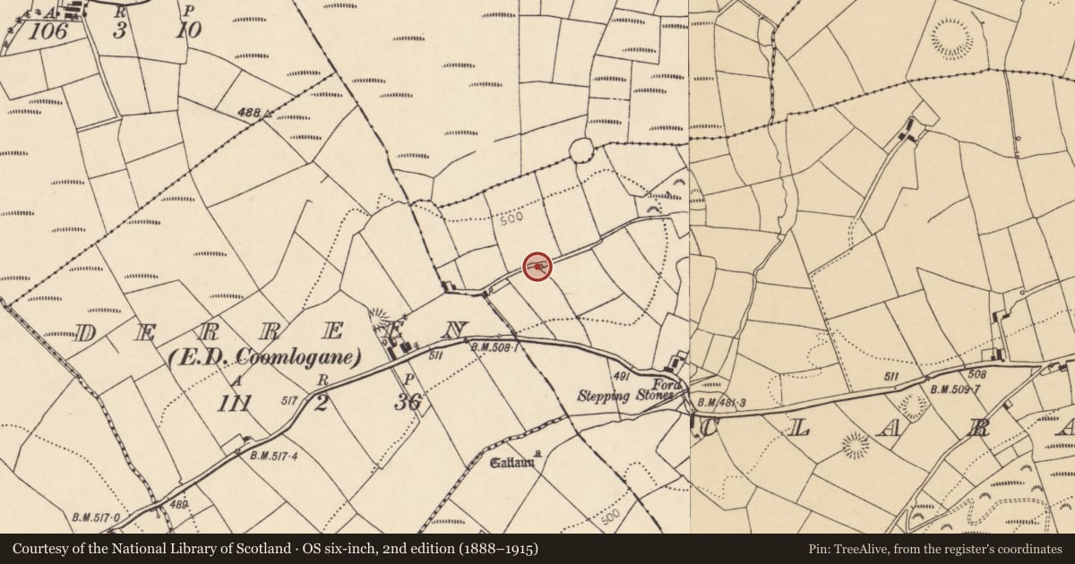 Ordnance Survey six-inch map, 2nd edition (1888–1915) covering the location of Kiln - lime, Claragh More, County Cork, with a pin at the register's coordinates