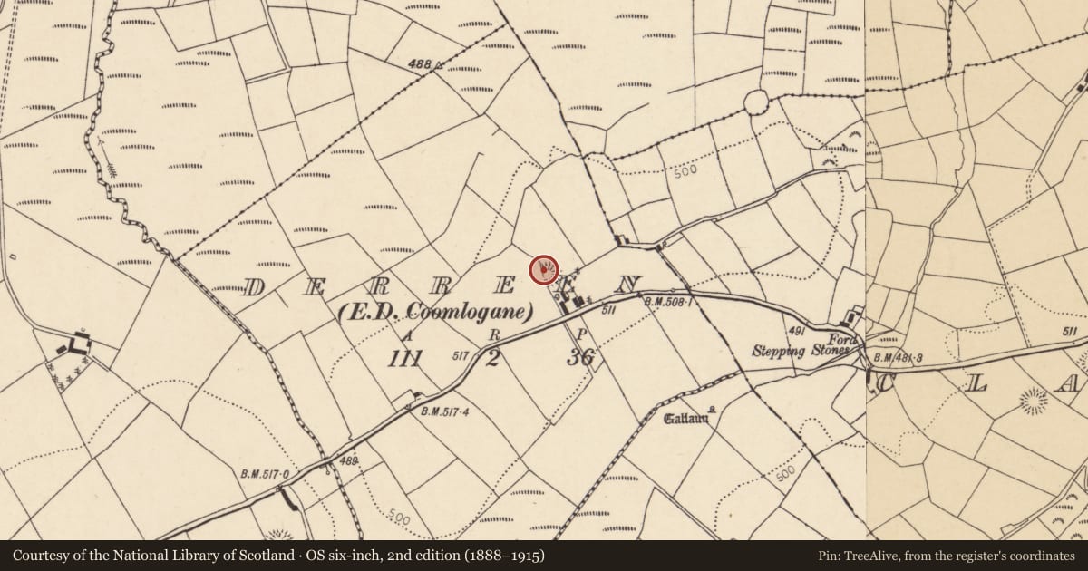 Ordnance Survey six-inch map, 2nd edition (1888–1915) covering the location of Ringfort - rath, Derreen (Muskerry West By., Drishane Par.), County Cork, with a pin at the register's coordinates