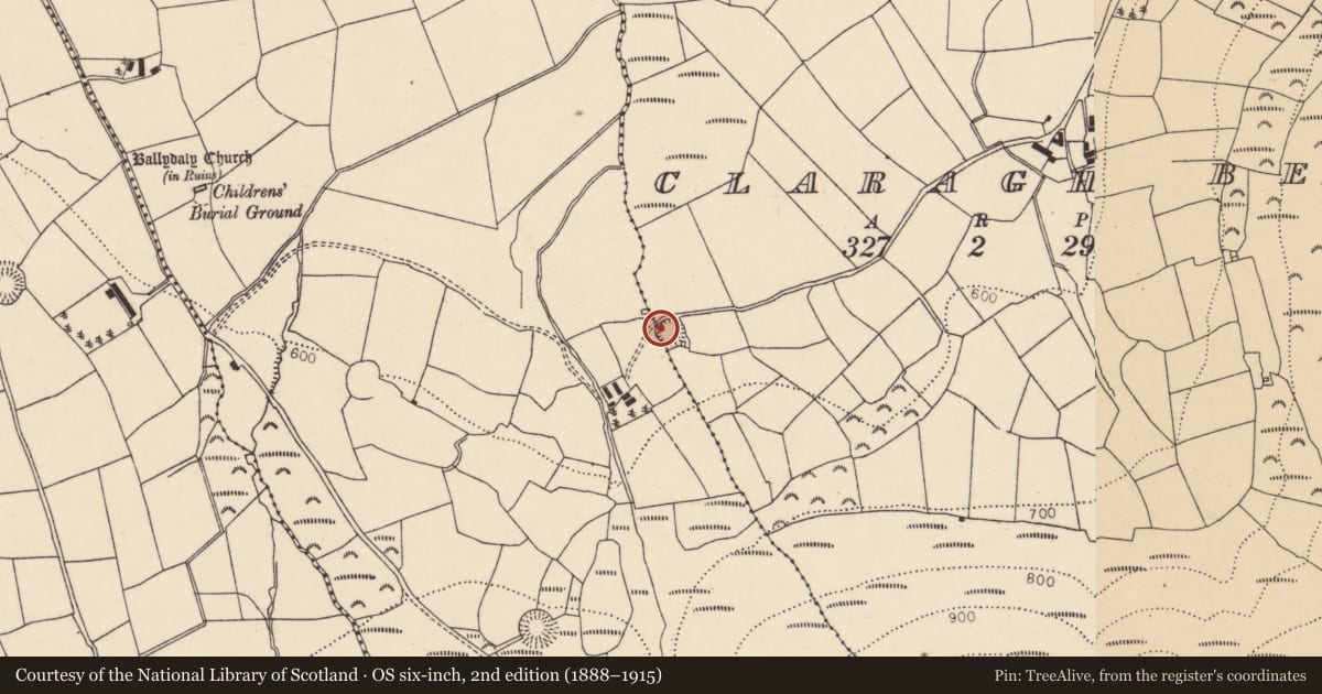 Ordnance Survey six-inch map, 2nd edition (1888–1915) covering the location of Ringfort - rath, Claragh Beg, County Cork, with a pin at the register's coordinates