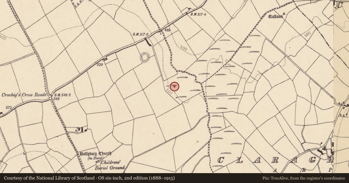 Ordnance Survey six-inch map, 2nd edition (1888–1915) covering the location of Fulacht fia, Ballydaly, County Cork, with a pin at the register's coordinates