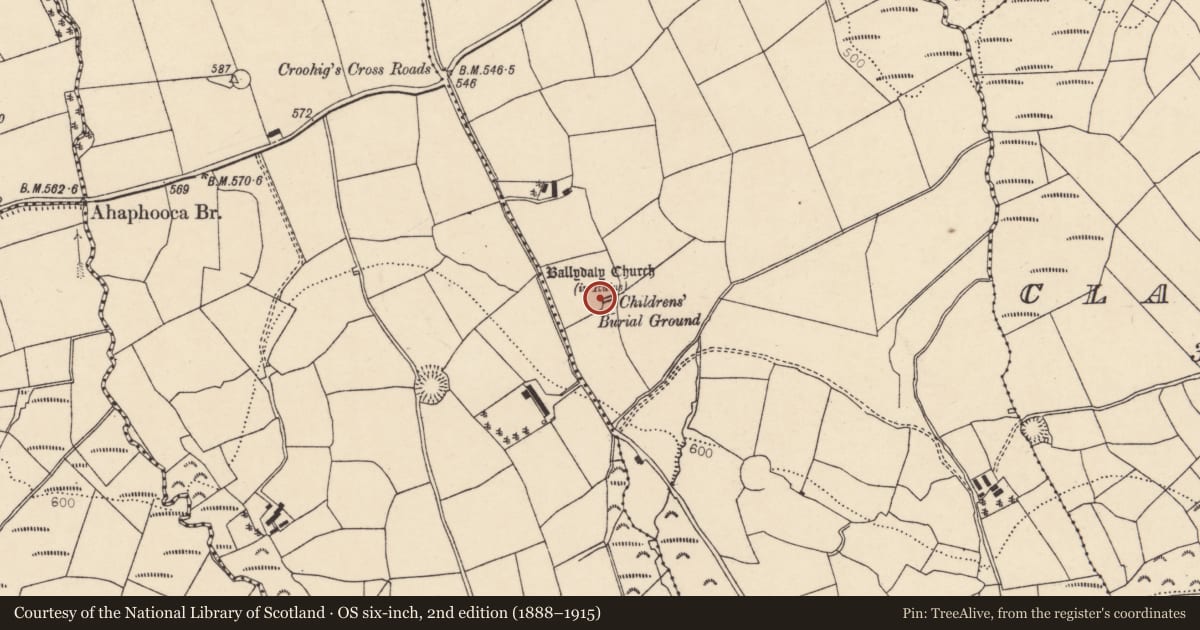 Ordnance Survey six-inch map, 2nd edition (1888–1915) covering the location of Church, Ballydaly, County Cork, with a pin at the register's coordinates