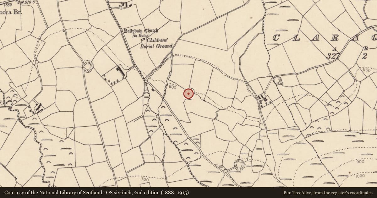 Ordnance Survey six-inch map, 2nd edition (1888–1915) covering the location of Ringfort - rath, Ballydaly, County Cork, with a pin at the register's coordinates