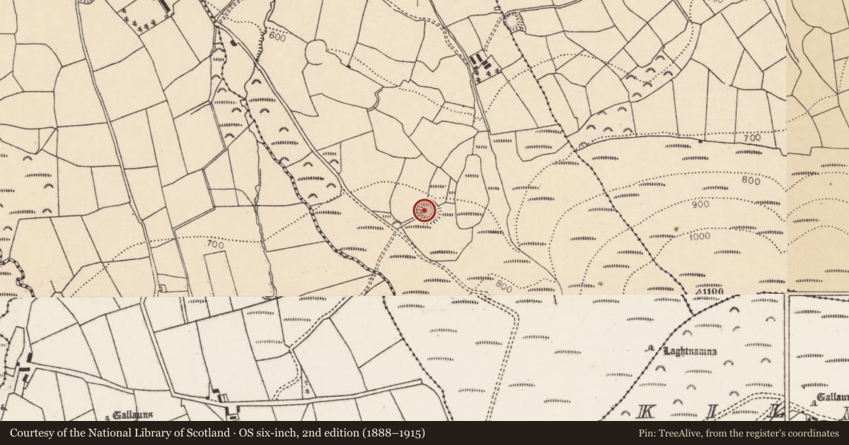 Ordnance Survey six-inch map, 2nd edition (1888–1915) covering the location of Souterrain, Ballydaly, County Cork, with a pin at the register's coordinates