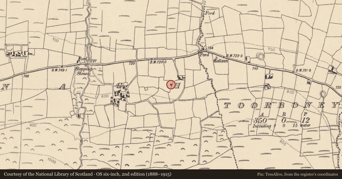 Ordnance Survey six-inch map, 2nd edition (1888–1915) covering the location of Ringfort - rath, Caherbarnagh, County Cork, with a pin at the register's coordinates