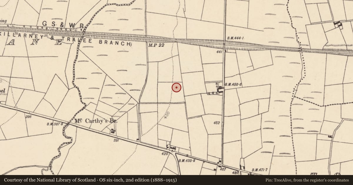 Ordnance Survey six-inch map, 2nd edition (1888–1915) covering the location of Fulacht fia, Ballydaly, County Cork, with a pin at the register's coordinates