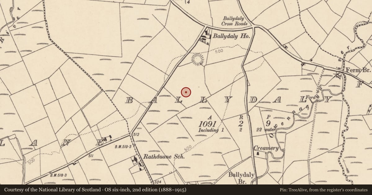 Ordnance Survey six-inch map, 2nd edition (1888–1915) covering the location of Barrow - ring-barrow, Ballydaly, County Cork, with a pin at the register's coordinates