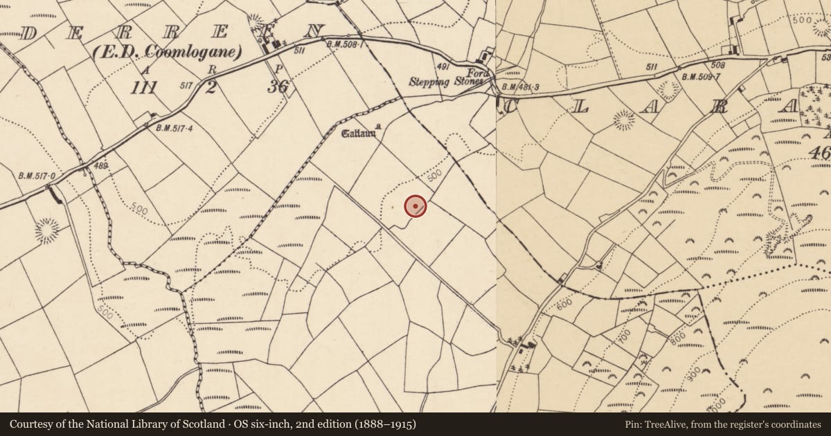 Ordnance Survey six-inch map, 2nd edition (1888–1915) covering the location of Ringfort - rath, Claragh Beg, County Cork, with a pin at the register's coordinates