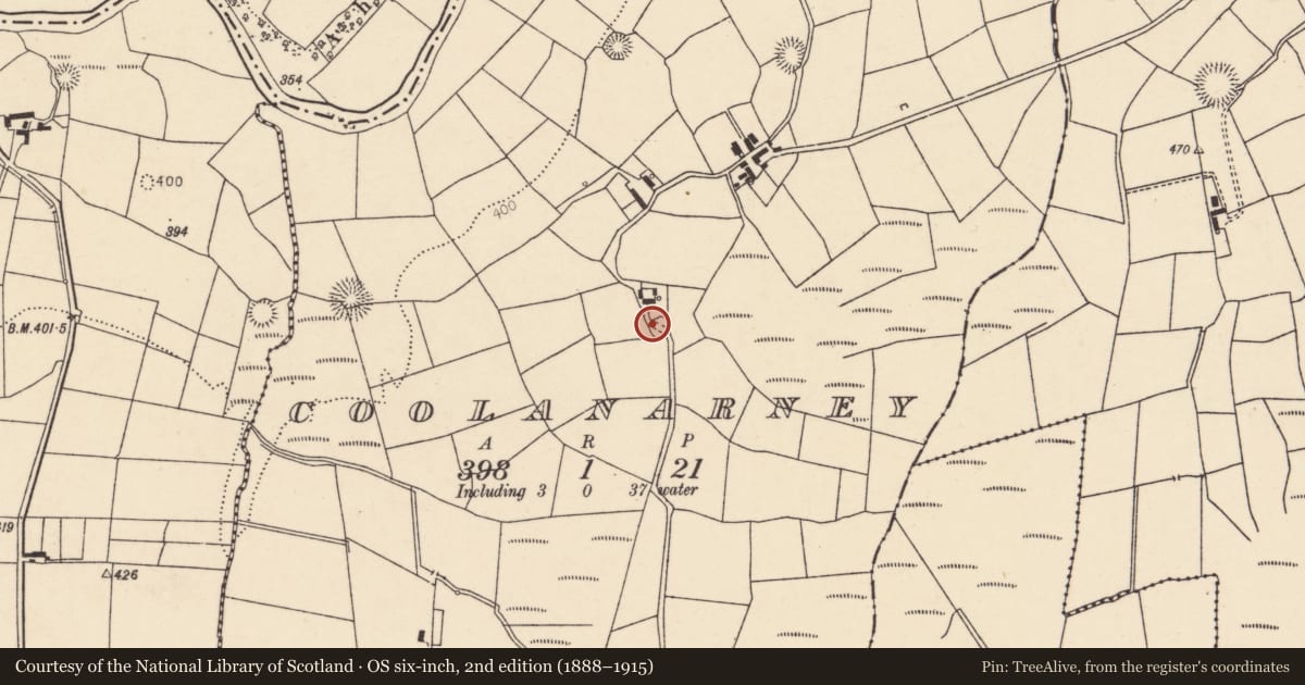 Ordnance Survey six-inch map, 2nd edition (1888–1915) covering the location of Ringfort - rath, Coolanarney, County Cork, with a pin at the register's coordinates