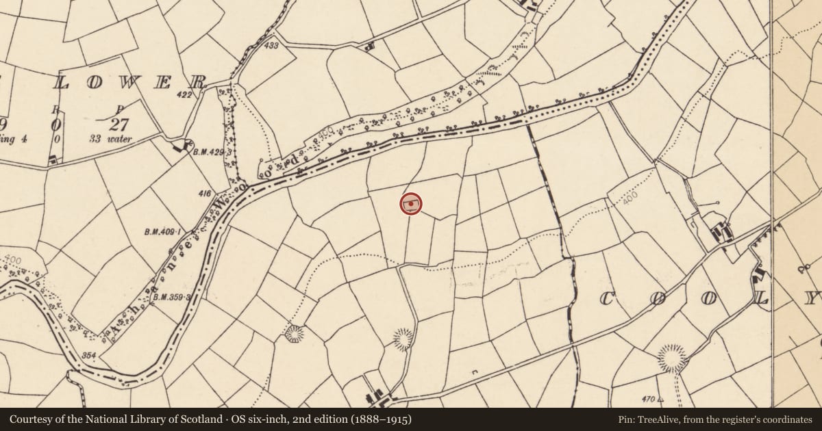 Ordnance Survey six-inch map, 2nd edition (1888–1915) covering the location of Moated site, Coolanarney, County Cork, with a pin at the register's coordinates
