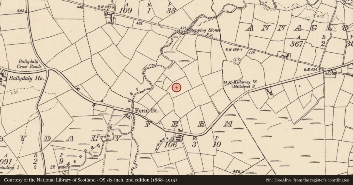 Ordnance Survey six-inch map, 2nd edition (1888–1915) covering the location of Ringfort - rath, Ferm, County Cork, with a pin at the register's coordinates