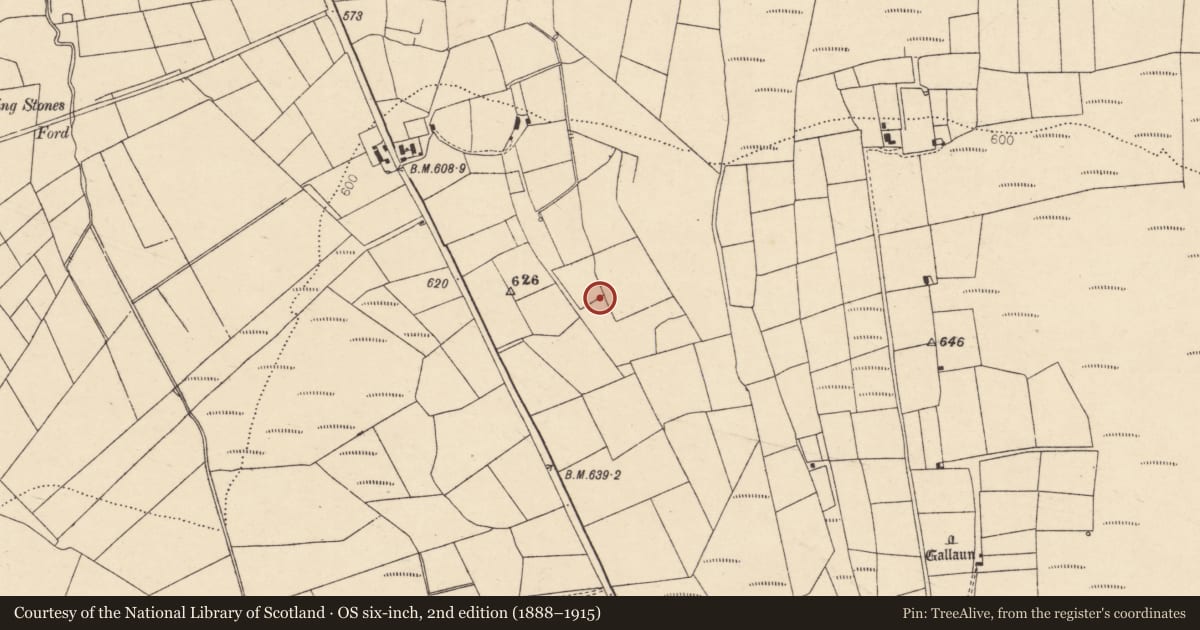 Ordnance Survey six-inch map, 2nd edition (1888–1915) covering the location of Fulacht fia, Caherbarnagh, County Cork, with a pin at the register's coordinates