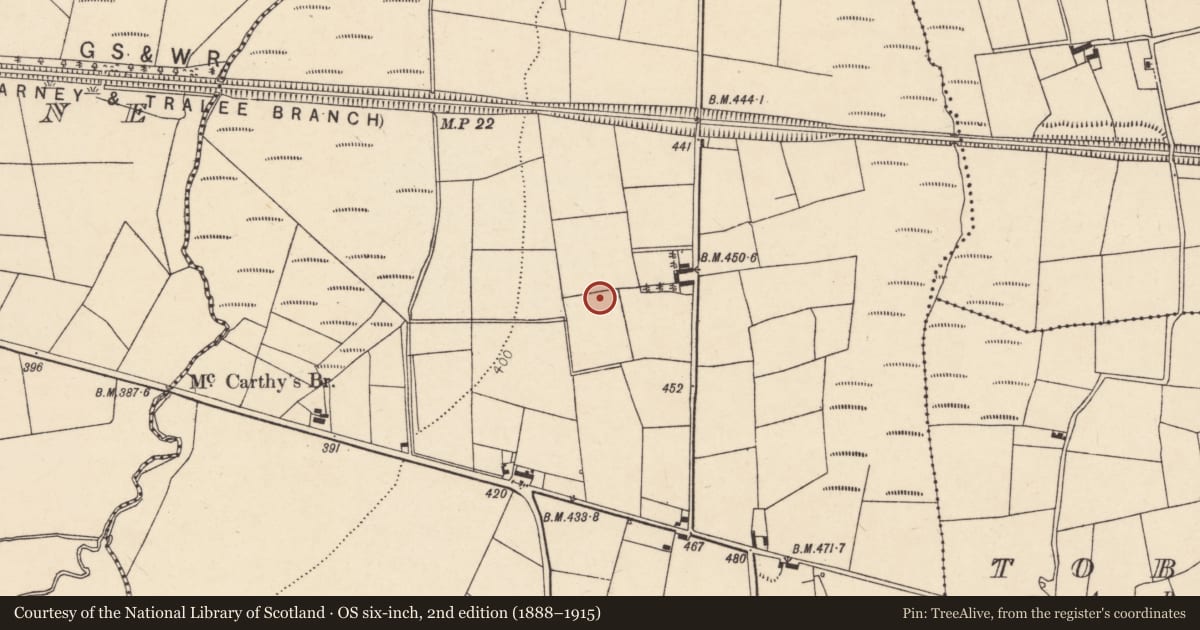 Ordnance Survey six-inch map, 2nd edition (1888–1915) covering the location of Fulacht fia, Ballydaly, County Cork, with a pin at the register's coordinates