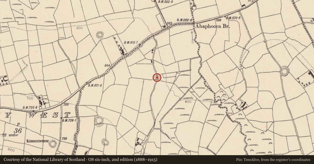 Ordnance Survey six-inch map, 2nd edition (1888–1915) covering the location of Fulacht fia, Gortavehy East, County Cork, with a pin at the register's coordinates