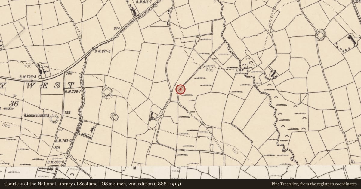 Ordnance Survey six-inch map, 2nd edition (1888–1915) covering the location of Fulacht fia, Gortavehy East, County Cork, with a pin at the register's coordinates