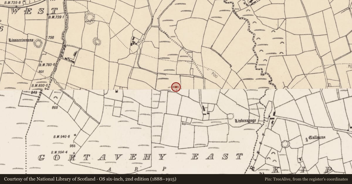 Ordnance Survey six-inch map, 2nd edition (1888–1915) covering the location of Fulacht fia, Gortavehy East, County Cork, with a pin at the register's coordinates