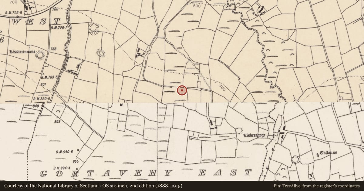 Ordnance Survey six-inch map, 2nd edition (1888–1915) covering the location of Fulacht fia, Gortavehy East, County Cork, with a pin at the register's coordinates