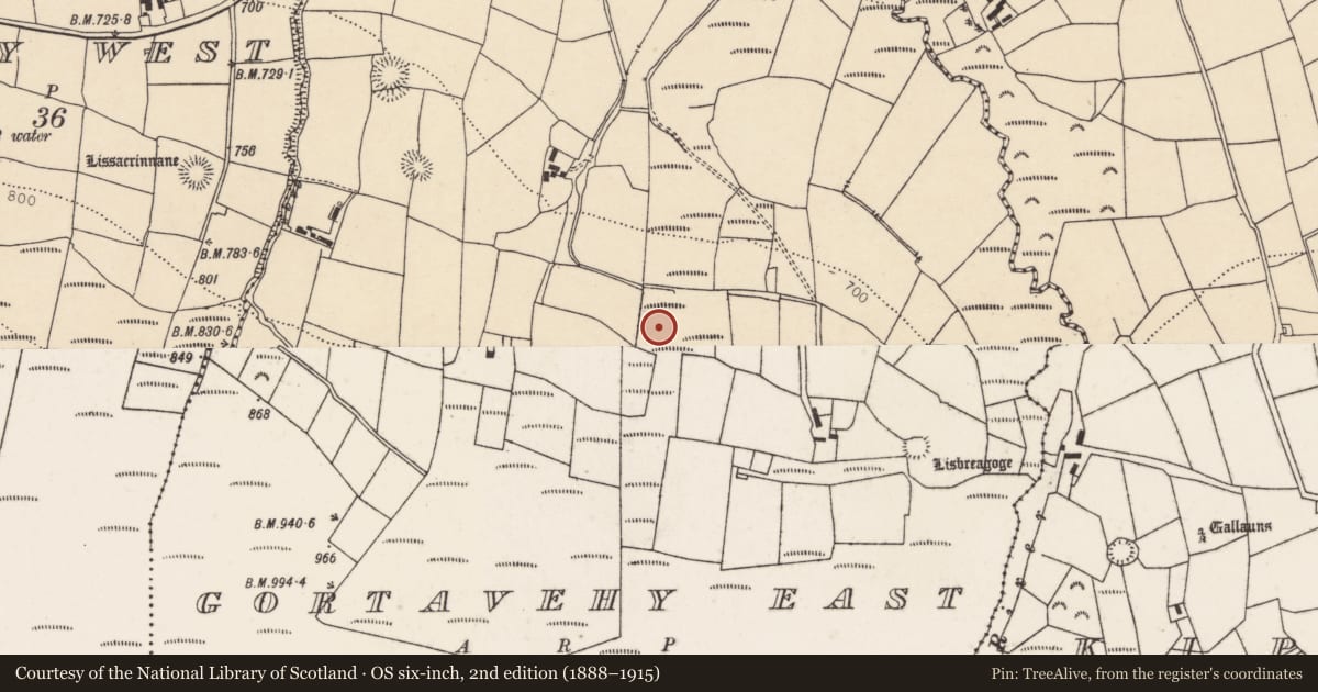 Ordnance Survey six-inch map, 2nd edition (1888–1915) covering the location of Fulacht fia, Gortavehy East, County Cork, with a pin at the register's coordinates