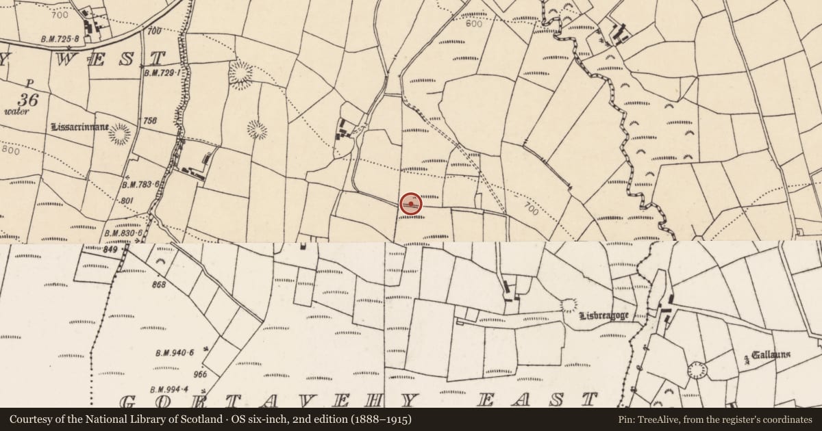 Ordnance Survey six-inch map, 2nd edition (1888–1915) covering the location of Fulacht fia, Gortavehy East, County Cork, with a pin at the register's coordinates