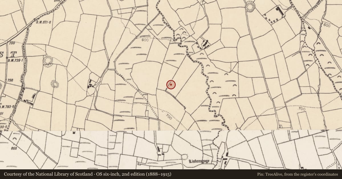 Ordnance Survey six-inch map, 2nd edition (1888–1915) covering the location of Fulacht fia, Gortavehy East, County Cork, with a pin at the register's coordinates