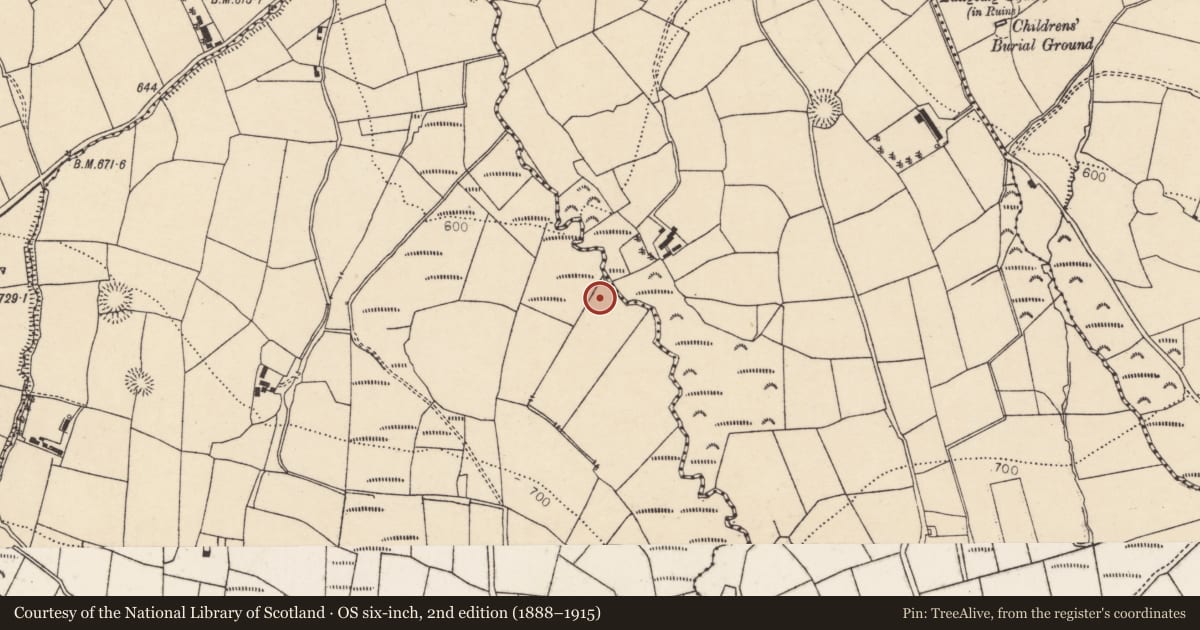 Ordnance Survey six-inch map, 2nd edition (1888–1915) covering the location of Fulacht fia, Gortavehy East, County Cork, with a pin at the register's coordinates