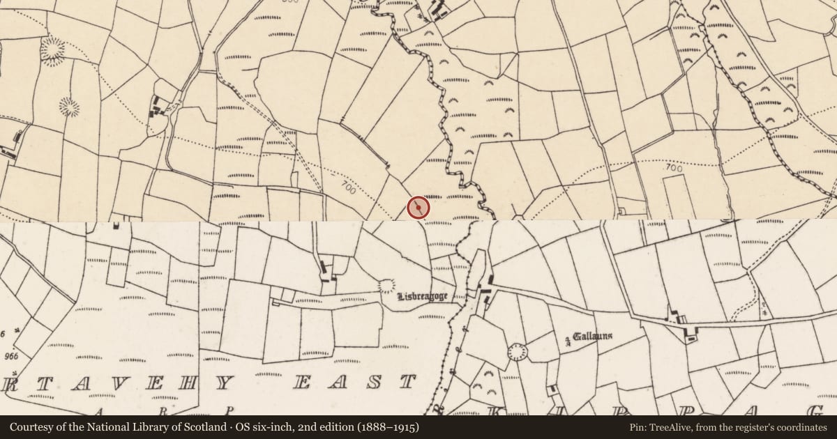 Ordnance Survey six-inch map, 2nd edition (1888–1915) covering the location of Fulacht fia, Gortavehy East, County Cork, with a pin at the register's coordinates