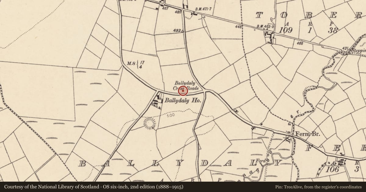 Ordnance Survey six-inch map, 2nd edition (1888–1915) covering the location of Souterrain, Ballydaly, County Cork, with a pin at the register's coordinates