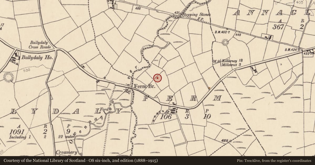 Ordnance Survey six-inch map, 2nd edition (1888–1915) covering the location of Standing stone, Ferm, County Cork, with a pin at the register's coordinates