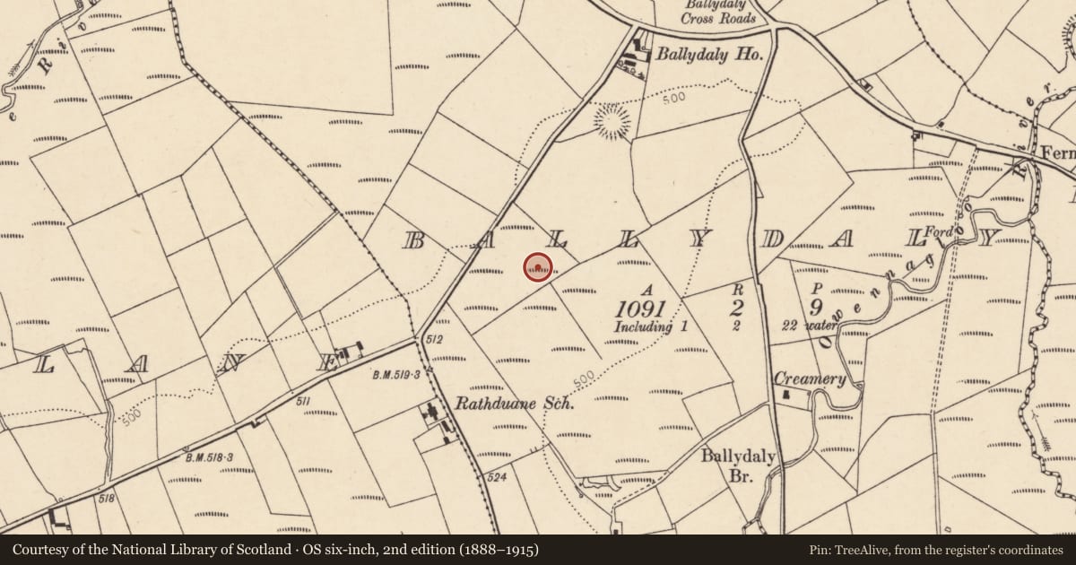 Ordnance Survey six-inch map, 2nd edition (1888–1915) covering the location of Ringfort - rath, Ballydaly, County Cork, with a pin at the register's coordinates