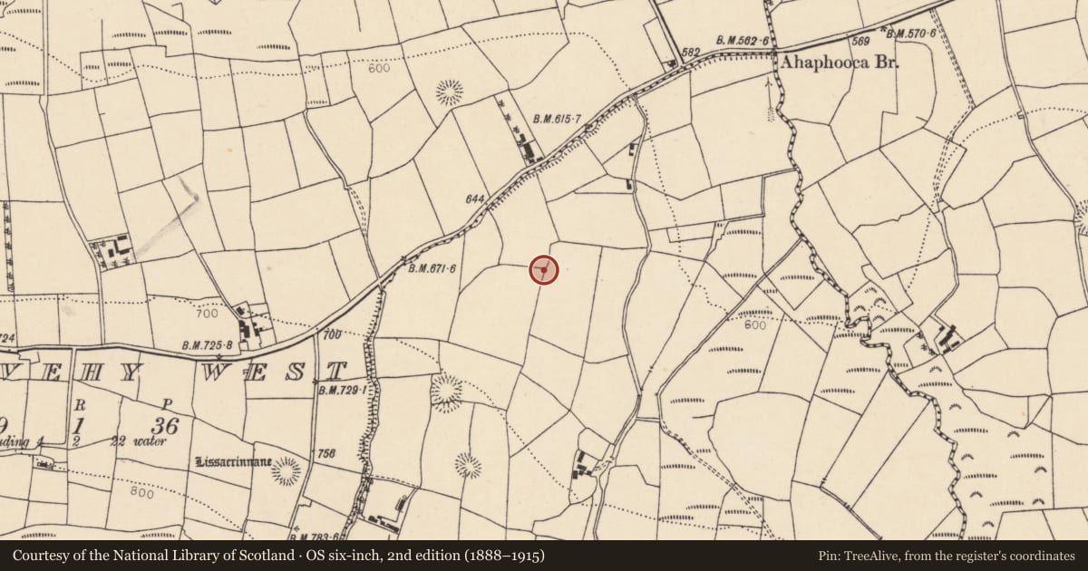 Ordnance Survey six-inch map, 2nd edition (1888–1915) covering the location of Ringfort - rath, Gortavehy East, County Cork, with a pin at the register's coordinates