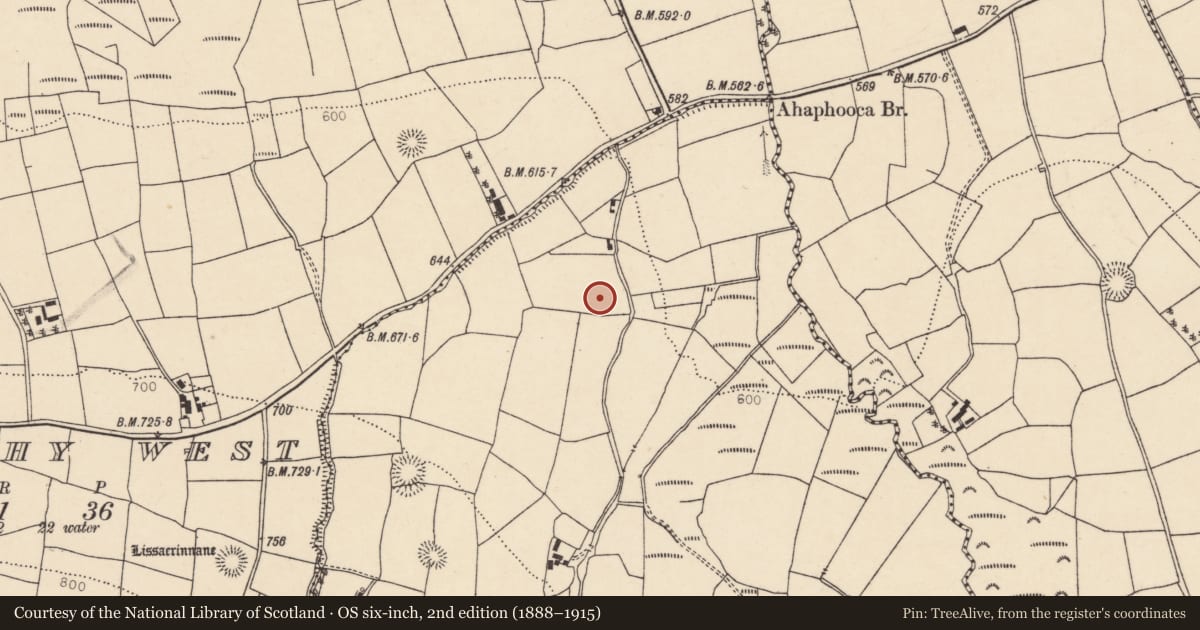 Ordnance Survey six-inch map, 2nd edition (1888–1915) covering the location of Ringfort - rath, Gortavehy East, County Cork, with a pin at the register's coordinates