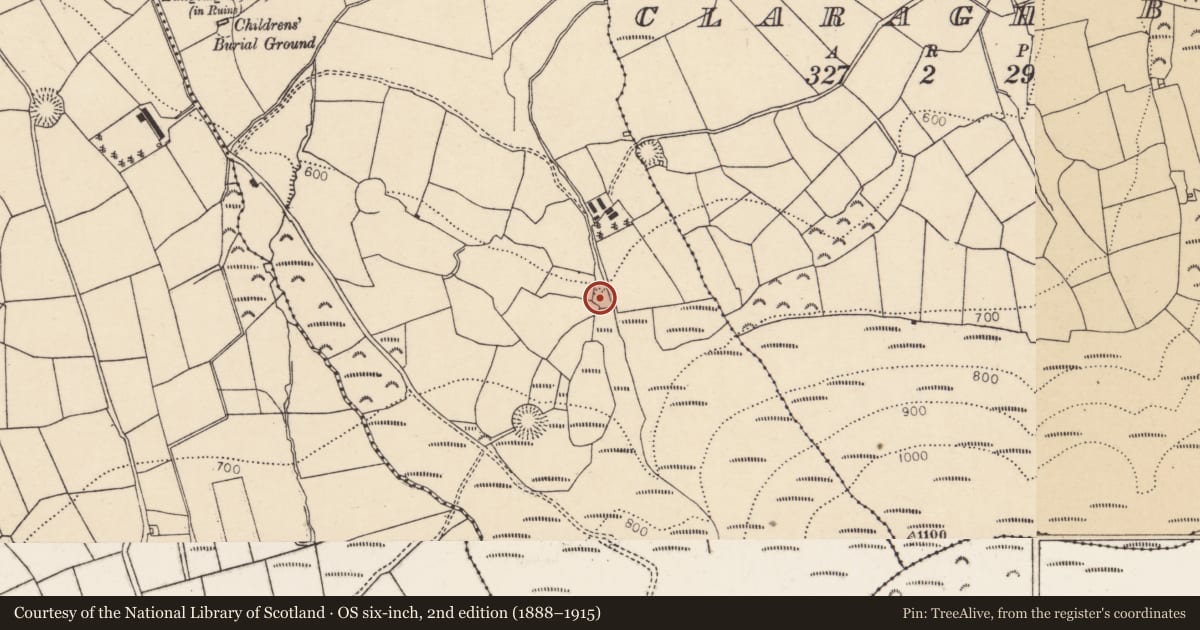Ordnance Survey six-inch map, 2nd edition (1888–1915) covering the location of Earthwork, Ballydaly, County Cork, with a pin at the register's coordinates