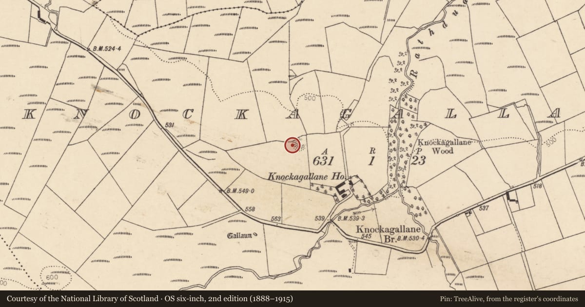 Ordnance Survey six-inch map, 2nd edition (1888–1915) covering the location of Souterrain, Knockagallane, County Cork, with a pin at the register's coordinates