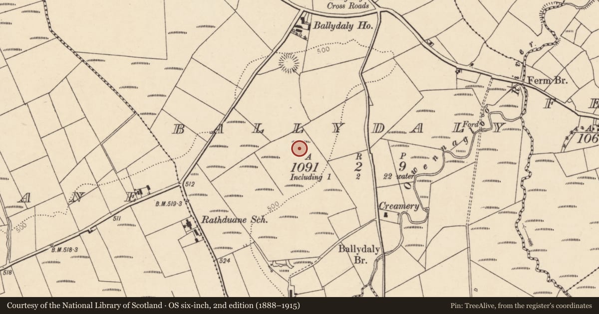 Ordnance Survey six-inch map, 2nd edition (1888–1915) covering the location of Barrow - ring-barrow, Ballydaly, County Cork, with a pin at the register's coordinates