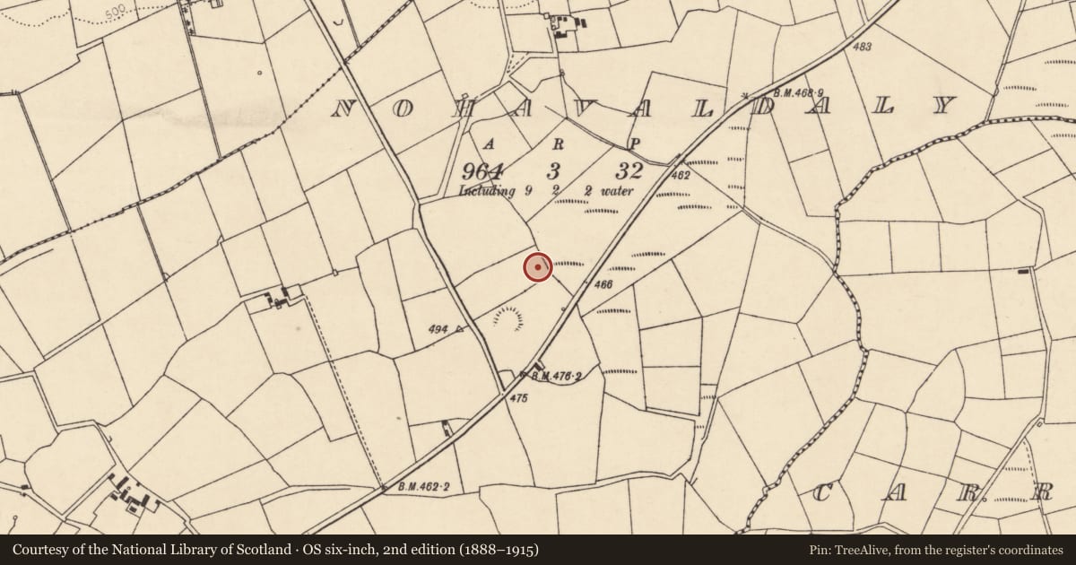 Ordnance Survey six-inch map, 2nd edition (1888–1915) covering the location of Fulacht fia, Nohaval Daly, County Cork, with a pin at the register's coordinates