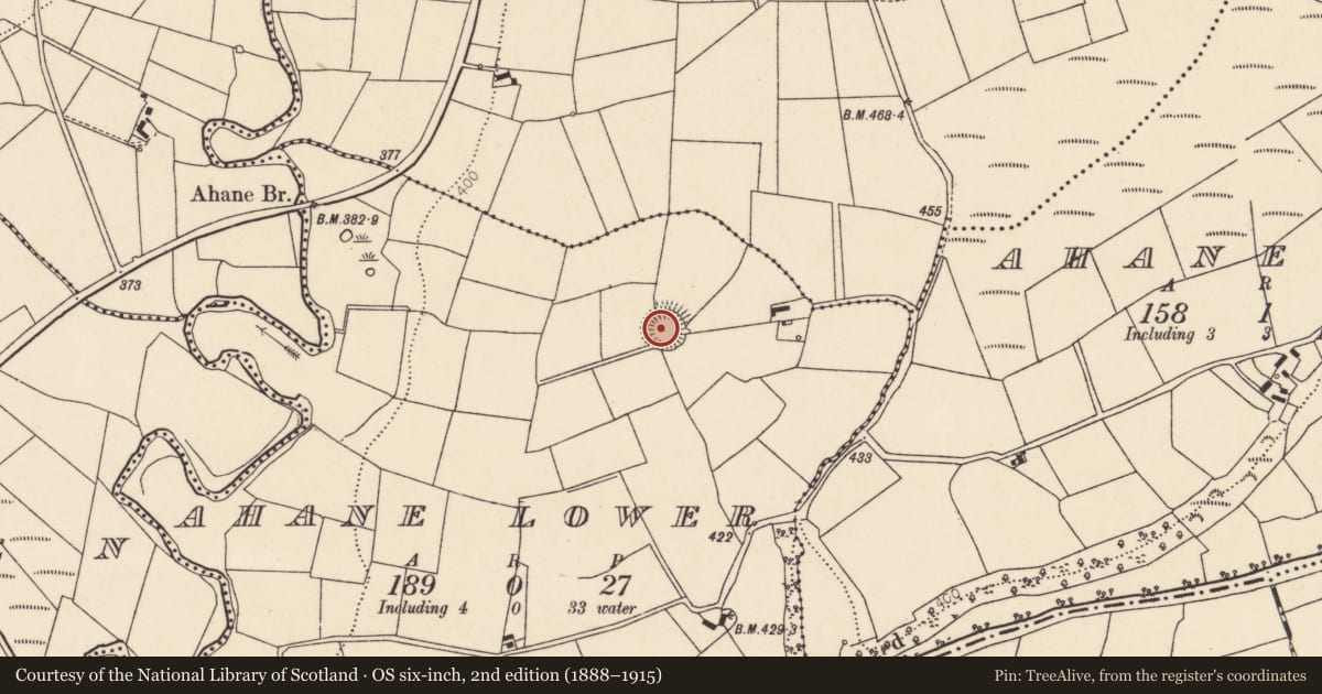 Ordnance Survey six-inch map, 2nd edition (1888–1915) covering the location of Souterrain, Ahane Lower, County Cork, with a pin at the register's coordinates