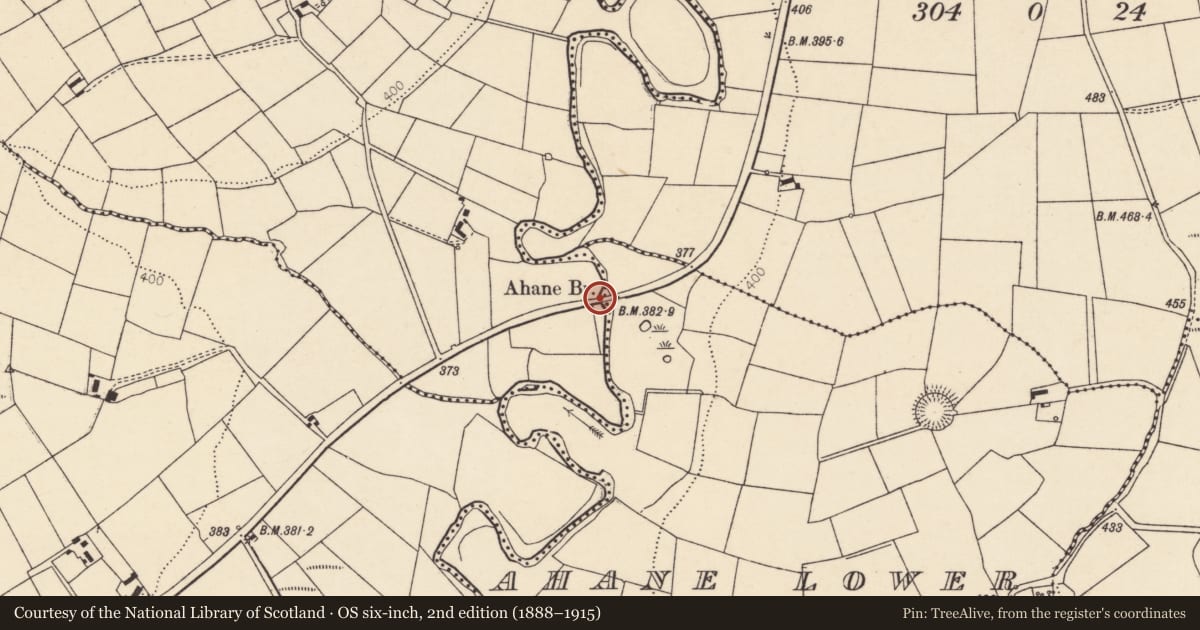 Ordnance Survey six-inch map, 2nd edition (1888–1915) covering the location of Bridge, Ahane Lower, Knockeennagearagh, County Cork, with a pin at the register's coordinates