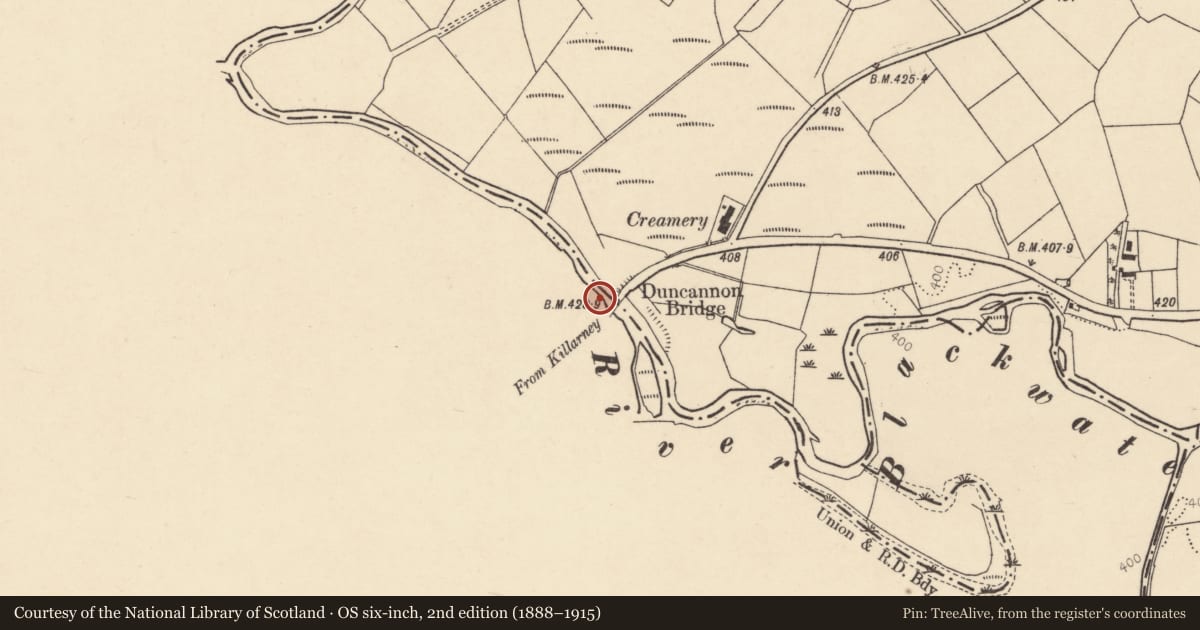 Ordnance Survey six-inch map, 2nd edition (1888–1915) covering the location of Bridge, Nohaval Daly, County Cork, with a pin at the register's coordinates
