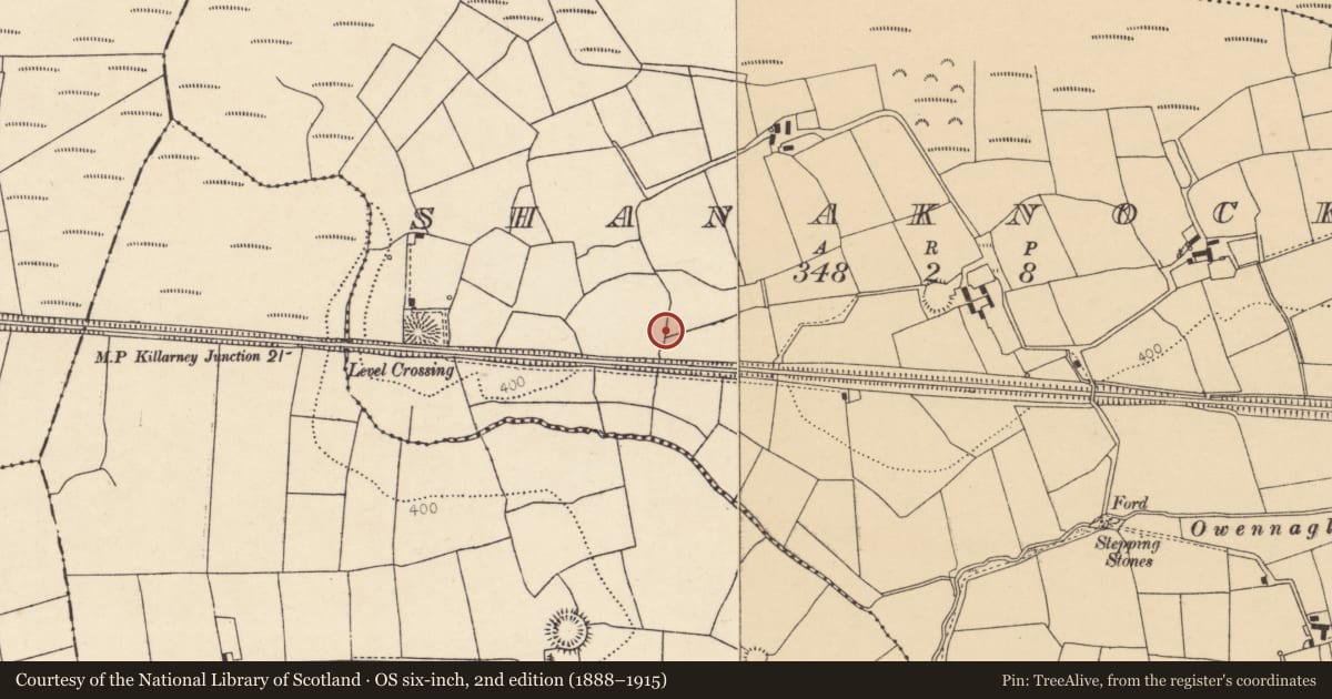 Ordnance Survey six-inch map, 2nd edition (1888–1915) covering the location of Fulacht fia, Shanaknock, County Cork, with a pin at the register's coordinates